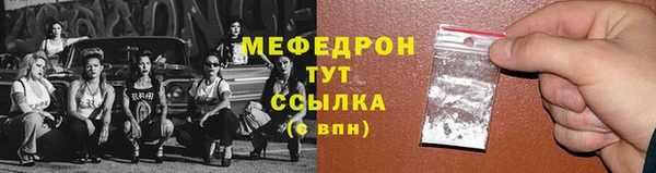 хмурый Дубна