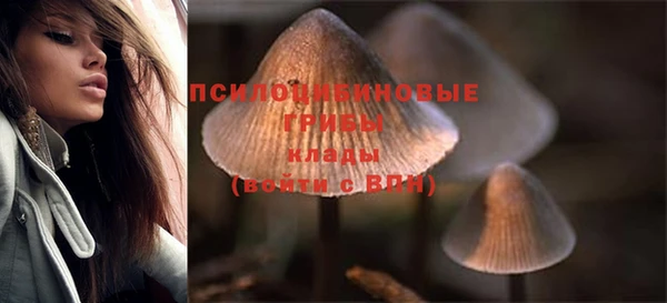 spice Балахна