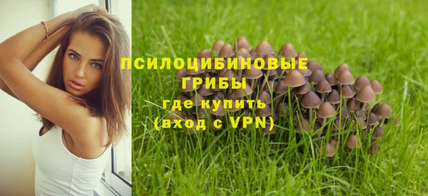 мяу мяу мука Балабаново