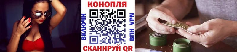 Бошки Шишки VHQ  Красный Кут 